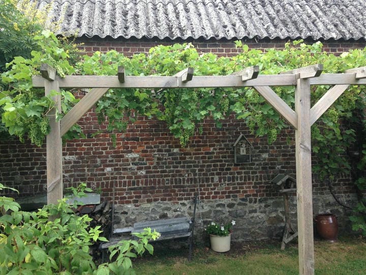 Maison 4 chambres dans un environnement champêtre  - Photo 13