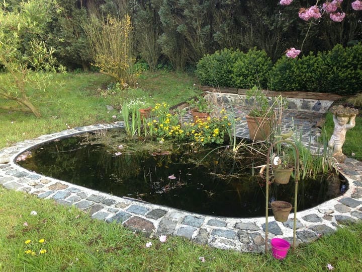Maison 4 chambres dans un environnement champêtre  - Photo 12